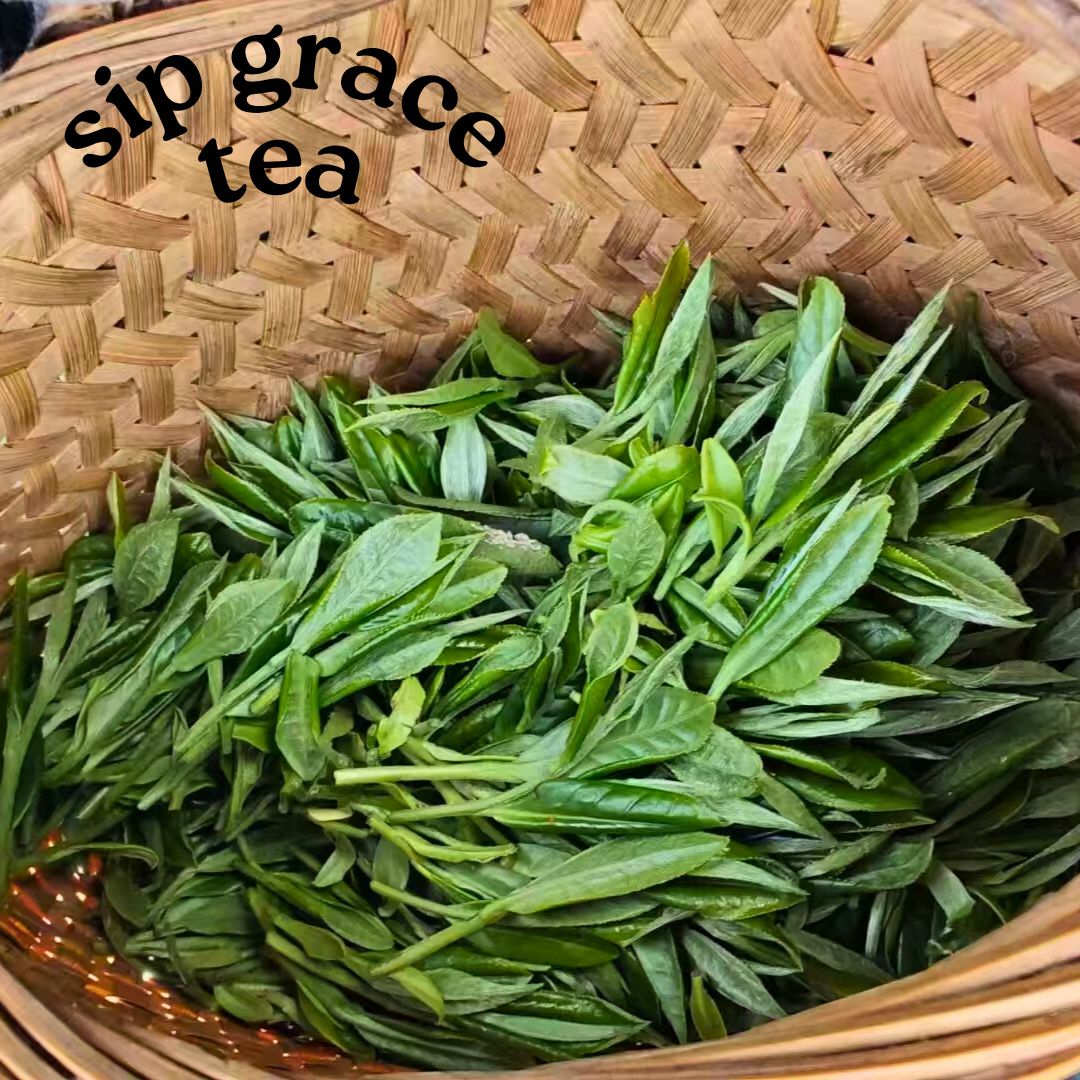 Fuding White Tea