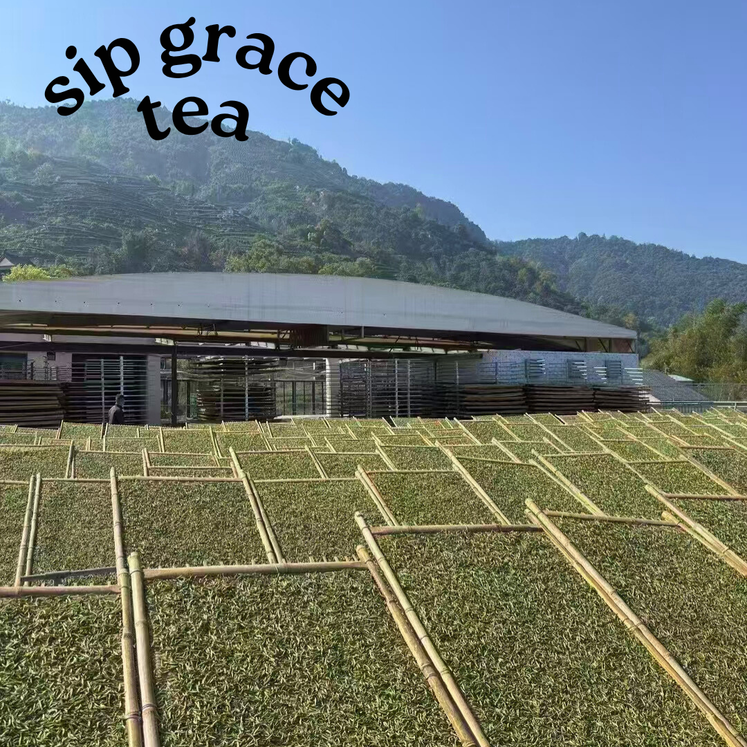 Fuding White Tea