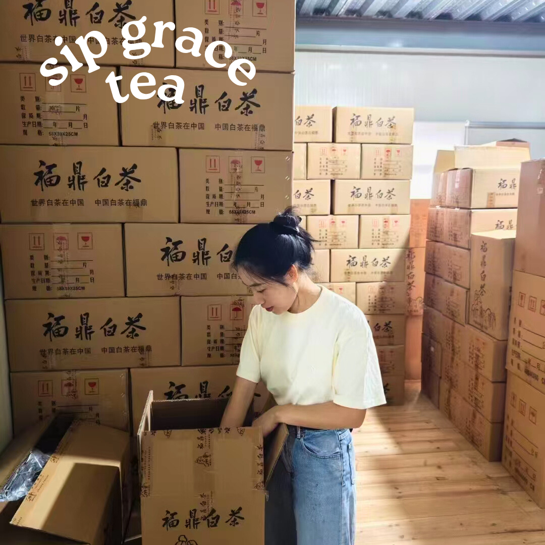 Fuding White Tea