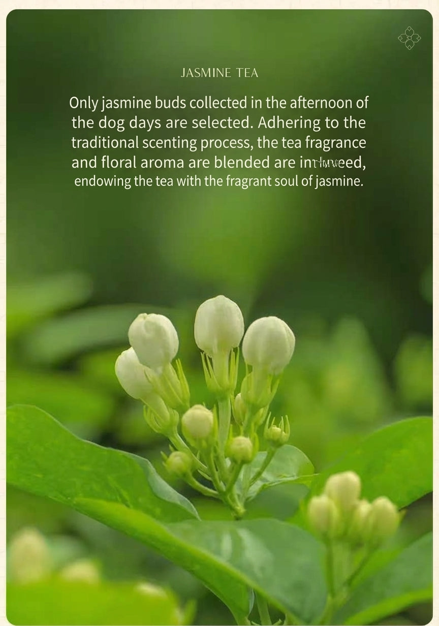 Imperial Jasmine Tea