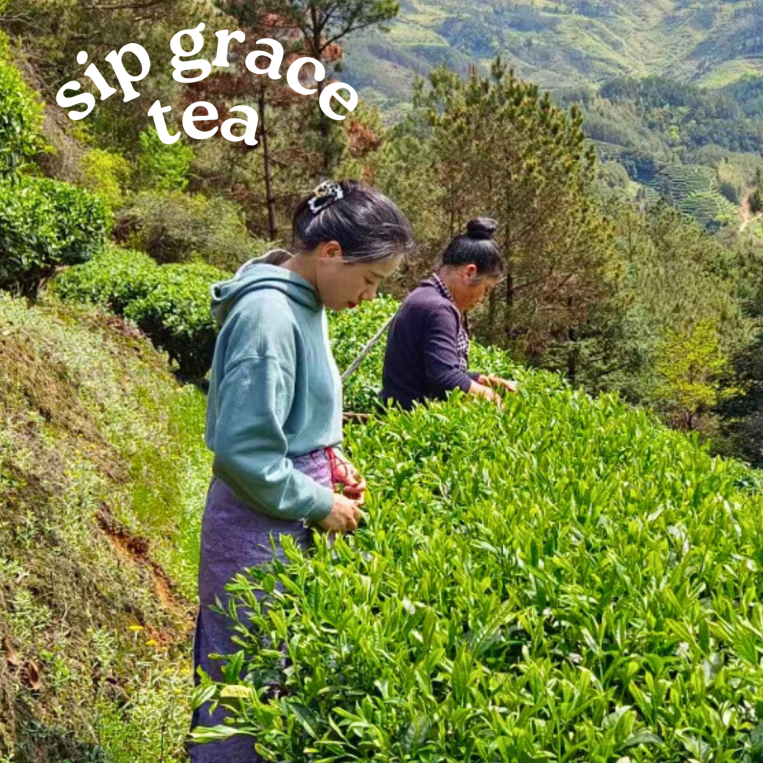Jasmine Tea